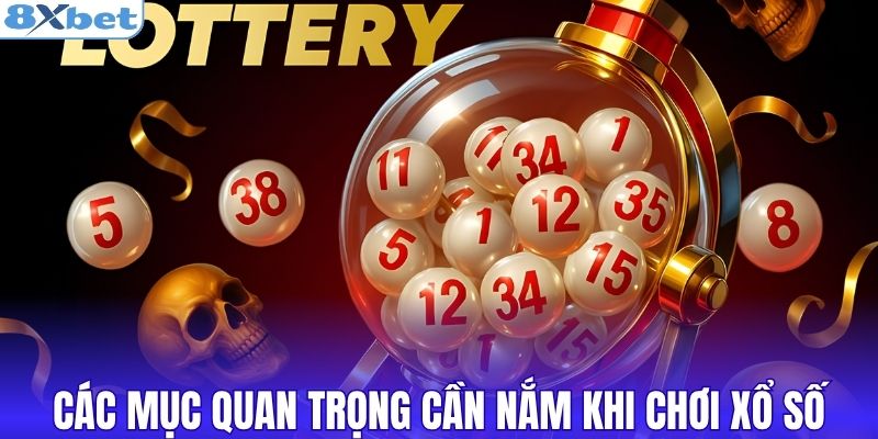 Các mục quan trọng cần nắm khi chơi xổ số