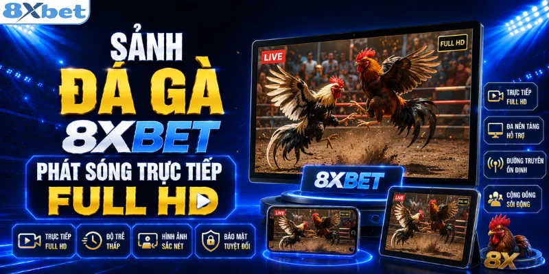 Sảnh đá gà 8XBET phát sóng trực tiếp full HD
