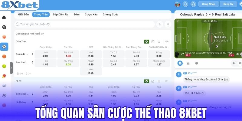 Tổng quan sân cược thể thao 8XBET
