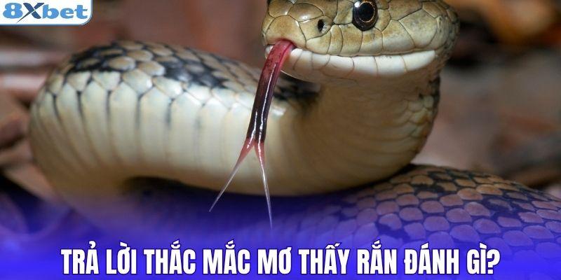 Trả lời thắc mắc mơ thấy rắn đánh gì?